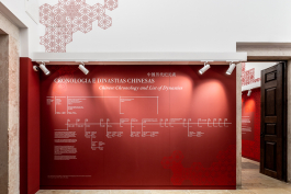 P 06 studio