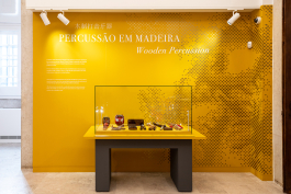 P 06 studio