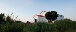 P 06 studio