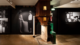 P 06 studio