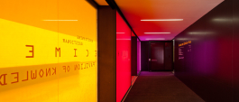 P 06 studio