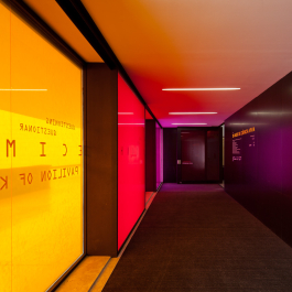 P 06 studio