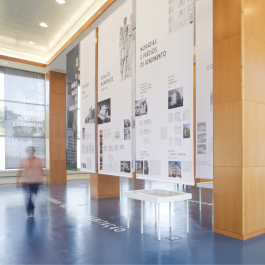 P 06 studio