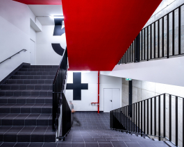 P 06 studio